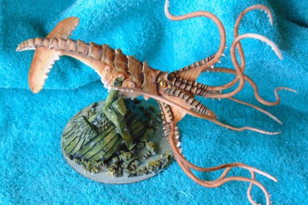 Kraken dark net
