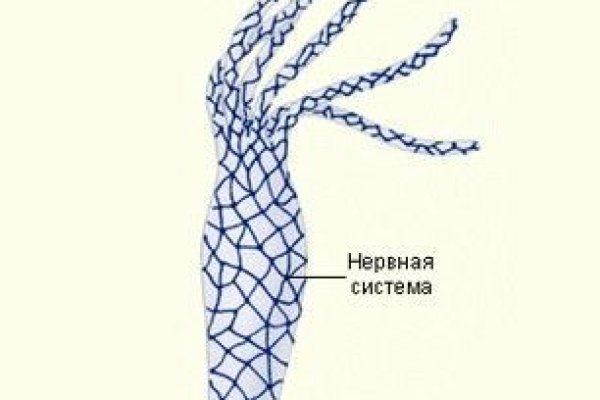 Кракен настоящее зеркало