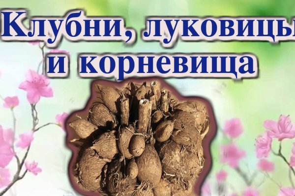Kraken cc ссылка
