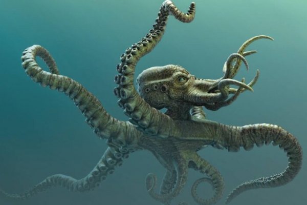 Kraken это современный маркетплейс