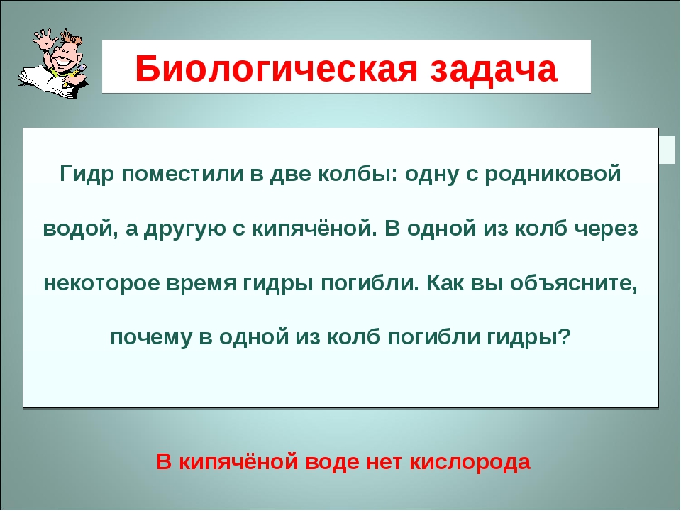 Кракен ссылка онлайн
