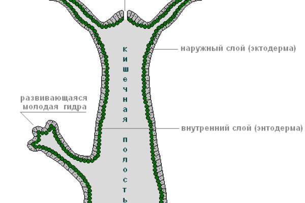 Kraken зеркало kraken link top