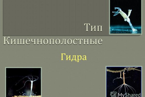 Зайти на кракен через браузер