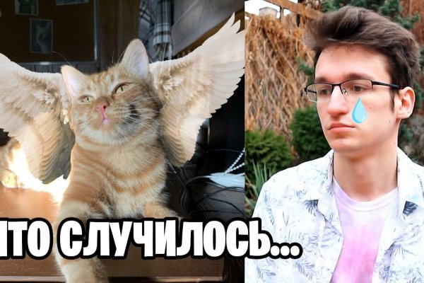 Кракен сегодня сайт зеркало