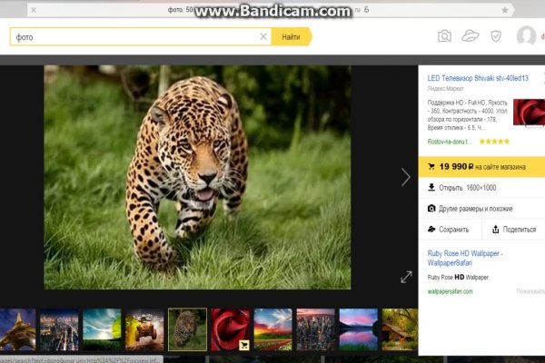Кракен ссылка 2web krakendark link