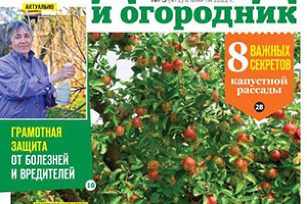 Сайт кракен зайти