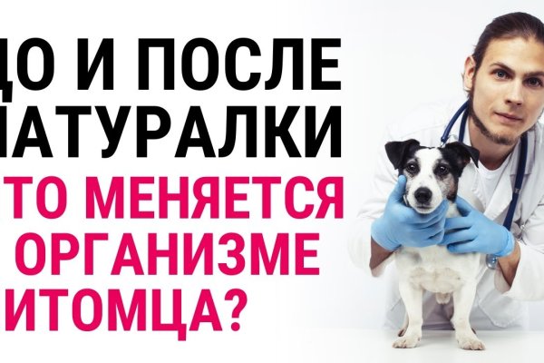 Через какой браузер можно зайти на кракен